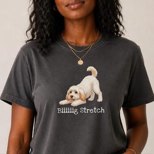 Camiseta elástica grande Comfort Colors para amantes de los Schnoodle, camiseta divertida con diseño de perro Doodle, regalo para mamás perrunas de color marrón esponjoso, regalo para papás dueños de Schnoodle imagen 8