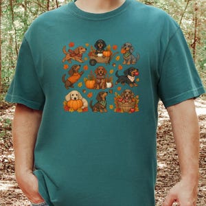 Fall Dachshund Shirt, Autumn Dog Lover Gift, Doxie Mom Tee, Cute Wiener Dog Shirt, Pumpkin Pet Lover Top imagen 1