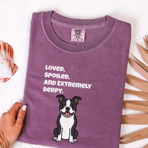 Comfort Colors rolig Bostonterrier-tröja, älskad, bortskämd och extremt derpy-tröja, nyckfull Bostonterrier-tröja för hundägare, rolig hundtröja bild 5