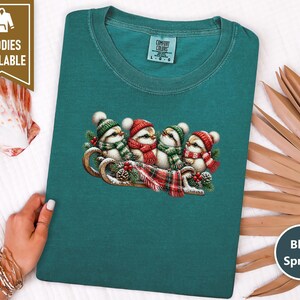 Christmas Birds Shirt, Holiday Bird Lover Gift, Winter Wildlife Tee, Cute Animal Sweatshirt, Festive Christmas Bird Shirt image 8