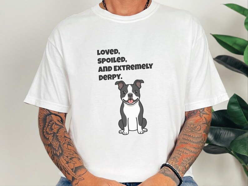 Comfort Colors rolig Bostonterrier-tröja, älskad, bortskämd och extremt derpy-tröja, nyckfull Bostonterrier-tröja för hundägare, rolig hundtröja bild 6