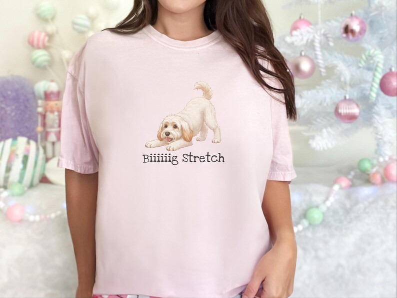 Camiseta elástica grande Comfort Colors para amantes de los Schnoodle, camiseta divertida con diseño de perro Doodle, regalo para mamás perrunas de color marrón esponjoso, regalo para papás dueños de Schnoodle imagen 7