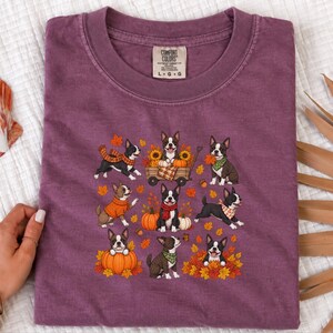 Maglietta autunnale con Boston Terrier, regalo autunnale per amanti dei cani, maglietta per la mamma di un Boston Terrier, felpa con zucche, maglietta con cucciolo carino immagine 7