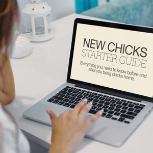 May include: A laptop screen showing the text "NEW CHICKS STARTER GUIDE" and the text below, "Everything you need to know before and after you bring chicks home." The laptop is on a white surface.