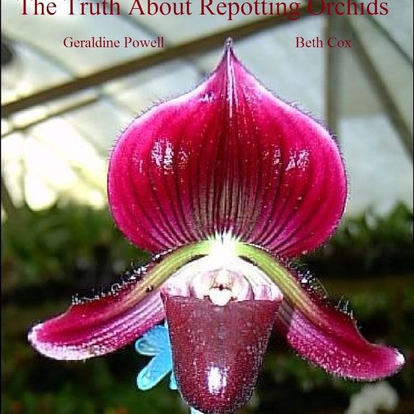 E-book: The Truth About Repotting Orchids