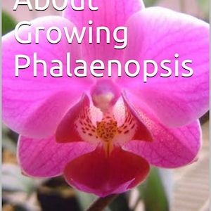 E-book: The Truth About Growing Phalaenopsis Orchids