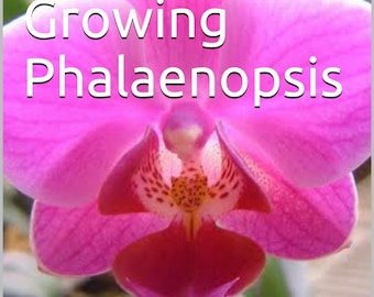 E-book: The Truth About Growing Phalaenopsis Orchids