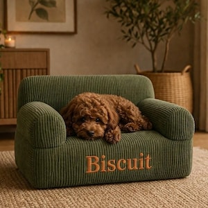 Może przedstawiać: Mała, oliwkowozielona sofa dla zwierząt domowych z sztruksu z pomarańczowym haftem z napisem "Biscuit". Brązowy pies leży na sofie. Sofa znajduje się w dobrze oświetlonym pokoju o neutralnej palecie kolor&oacute;w.