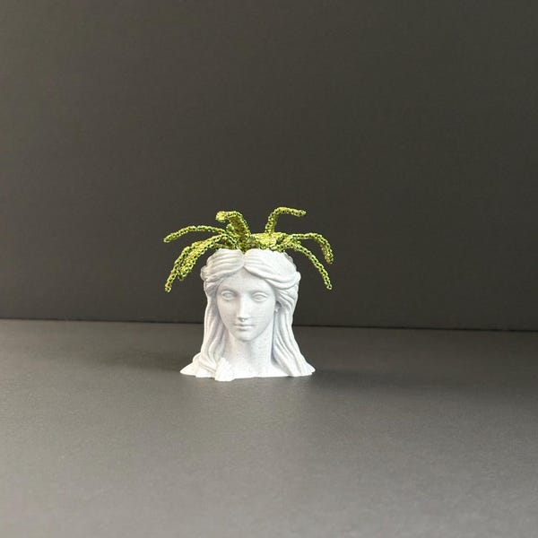 Bead Plant Pot | Goddess Head Planter | 3D Printed Mini Succulent Pot | Greek Statue Planter | Cottagecore Desk Decor | Handmade Gift