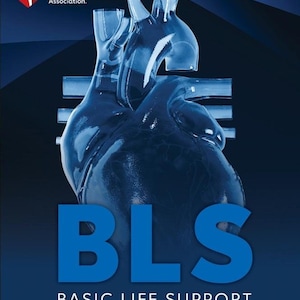 Puede incluir: Portada de manual de formación médica con una ilustración de un corazón anatómico azul translúcido. El título "BLS BASIC LIFE SUPPORT PROVIDER MANUAL" está en letras azules en negrita. El logotipo de la American Heart Association está en la esquina superior izquierda.