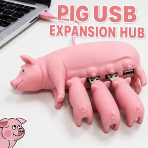May include: A pink pig-shaped USB expansion hub with three smaller pig-shaped USB drives plugged into its side. The text PIG USB EXPANSION HUB is displayed above the device, which is connected to a laptop by a pink cable.