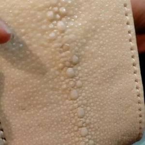 Peut inclure: Une lanière en cuir de galuchat couleur crème présentant une rangée centrale distincte de nodules plus gros, arrondis et perlés, entourés d'une texture finement granuleuse. Les bords sont finis par une ligne de couture droite et nette.