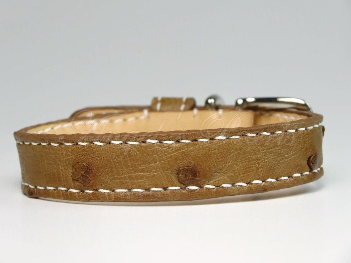 Handmade dog collars ❤️ in an elegant design