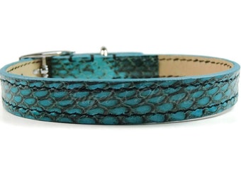 Collier pour Chien en Cuir de Serpent Véritable - Turquoise - Couture Main - Tour de cou 30 à 36 cm