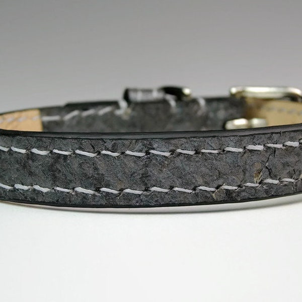 Luxury Dog Collar Etsy