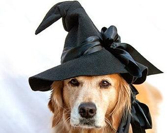 Golden Retriever Good Witch Photo Blank Card, Fall, Autumn, Halloween - 20% off on orders of 3 or more!