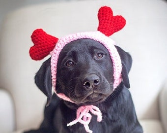 Valentine, Labrador Retriever, Love, Blank Photo Card - 20% off on orders of 3 or more!