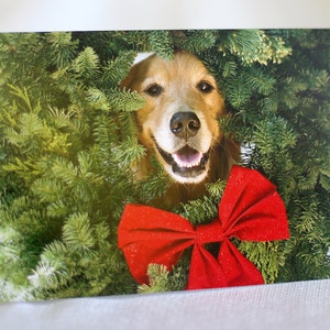 Golden Retriever, Jolly Olly, Holiday Photo Card 20% off on orders of 3 or more image 2