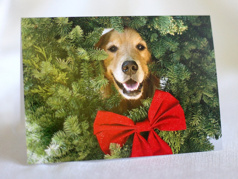 Golden Retriever, Jolly Olly, Holiday Photo Card Set, 20% off on orders of 3 or more image 2
