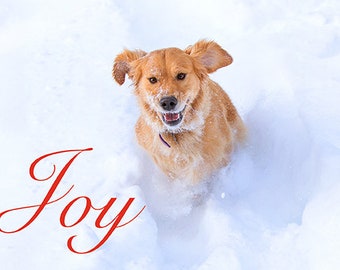 Golden Retriever, Holiday Joy, Photo Card Set, 20% off on orders of 3 or more!