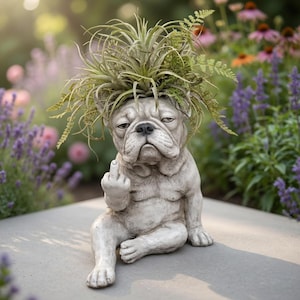 Puede incluir: Una maceta de bulldog de hormigón con un arreglo de plantas en la cabeza, mostrando el dedo medio. El bulldog es de color gris claro y tiene una expresión de mal humor. El arreglo de plantas incluye plantas aéreas y helechos verdes. La maceta está sobre una superficie de hormigón.