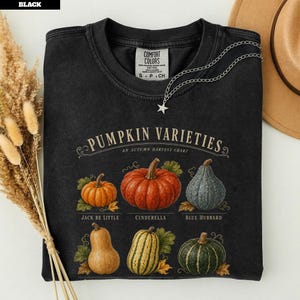 May include: A black crewneck t-shirt featuring a graphic titled PUMPKIN VARIETIES AN AUTUMN HARVEST CHART. The print displays six different pumpkins and gourds labeled Jack Be Little, Cinderella, and Blue Hubbard with green leaves and autumn foliage.