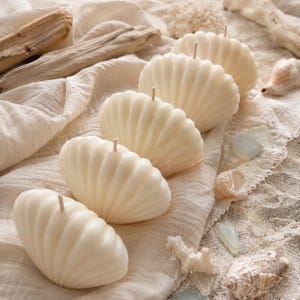 Peut inclure: Une série de cinq bougies blanc cassé en forme de coquillage, disposées en ligne diagonale. Chaque bougie présente une texture nervurée distincte et une mèche centrale unique, imitant l'apparence d'un coquillage bivalve en cire solide.