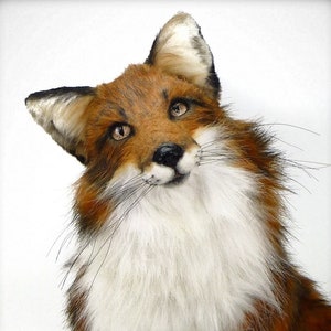 OOAK lifesize realistic fox, poseable