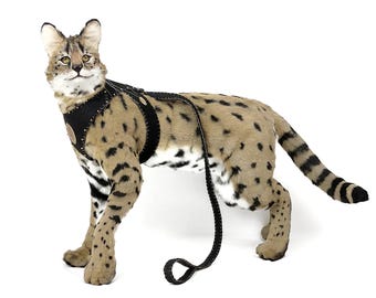 Custom Realistic Savannah Cat Plush | Life size Poseable Stuffed Animal | Handmade OOAK Gift