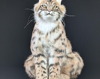 Realistic Life size Lynx Bobcat Plush | Poseable Stuffed Animal | Handmade OOAK Artist Cat Sculpture
