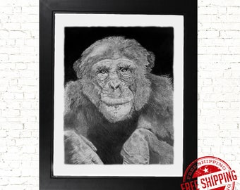 chimpanzee drawing etsy