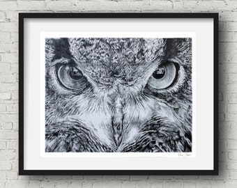 Owl drawing  print - owl pencil wall art owl Print  owl poster bird art