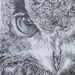 Avatar belonging to Artbypierre