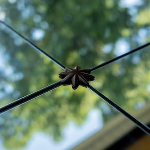 May include: A dark brown, star-shaped decorative fastener sits at the intersection of two thin, black metal bars that divide a reflective glass surface into four quadrants, creating a grid pattern across the pane.