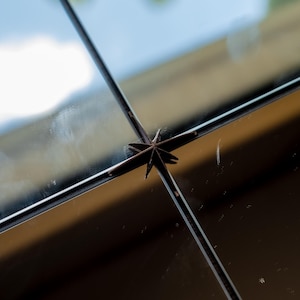May include: A dark brown, star-shaped anise seed pod positioned at the intersection of two thin, black metal window frame bars. The star anise has a woody texture and eight distinct points, set against a blurred outdoor background.