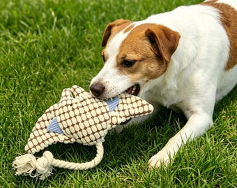 Durable Plush Rope Dog Toy, Interactive Chew, Dental Health, Tug Play
