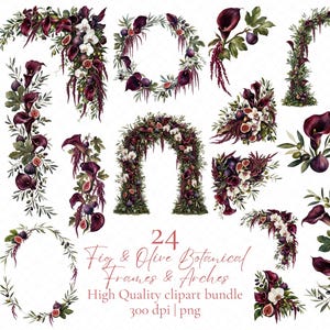 Op de afbeelding: Een verzameling van 24 botanische frames en bogen. De ontwerpen bevatten donker bordeauxrode calla lelies, vijgen, olijftakken en witte bloemen. De tekst luidt "Fig & Olive Botanical Frames & Arches" en "High Quality clipart bundle 300 dpi | png".