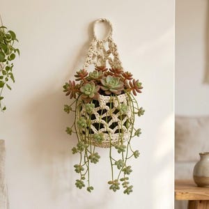 Peut inclure: Un porte-plante en macramé avec un motif tissé, contenant une variété de plantes succulentes. Les plantes succulentes ont des feuilles vertes et brun rougeâtre. Une plante suspendue est visible à gauche. Le mur est peint d'une couleur neutre.
