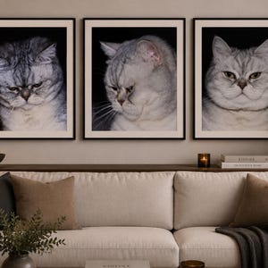 Könnte beinhalten: Drei gerahmte Wandbilder mit Porträts von silbernen Tabby-Katzen vor schwarzem Hintergrund. Jeder Druck ist in einem dünnen schwarzen Rahmen eingefasst und zeigt eine Nahaufnahme des Katzengesichts mit detaillierter Fellstruktur und Mimik.