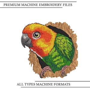 May include: A machine embroidery design featuring a sun conure parrot with a bright orange and yellow head, green wings, and a dark gray beak, emerging from a textured brown circular opening. Text reads PREMIUM MACHINE EMBROIDERY FILES and ALL TYPES MACHINE FORMATS.