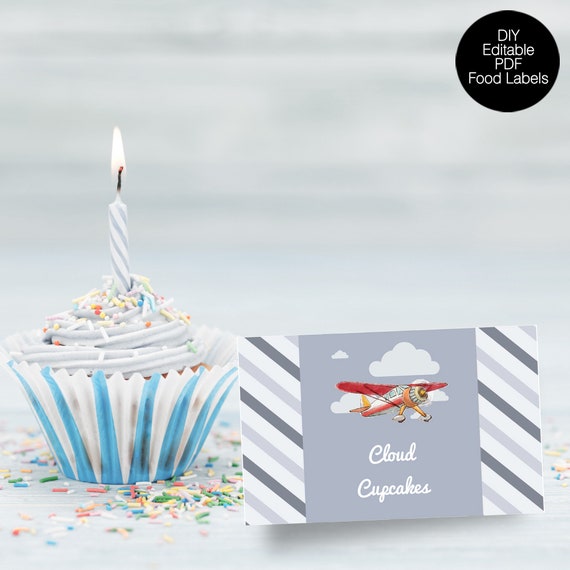 Vintage Airplane Food Labels, Printable Labels, Airplane Birthday Labels Il_570xn