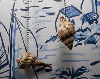 Indoor / Outdoor Seashell Ceiling Fan Pulls