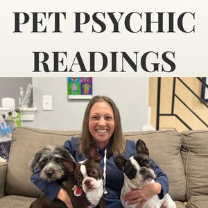 May include: Image shows the text "PET PSYCHIC READINGS" above a woman with three dogs. The dogs are a grey and white terrier mix, a brown and white Boston Terrier, and a black and white French Bulldog.