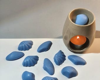 Cialde di cera di soia all'oud | Profumo di legno orientale | Aromaterapia di lusso artigianale | Fragranza naturale per la casa Spagna