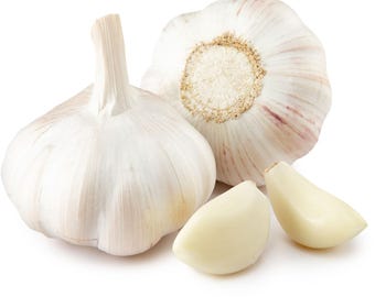 Non-GMO California Early Softneck Garlic | 2026 Heirloom Seeds for Fall Garden Planting & Eating