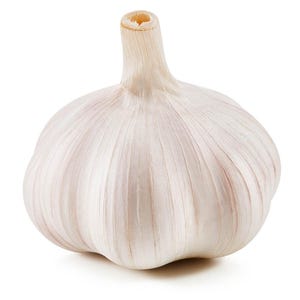 May include: A single whole bulb of garlic with papery, off-white skin and visible vertical ridges. The bulb features a rounded shape that tapers toward a short, dry stem at the top, showcasing the natural texture and light beige color tones.
