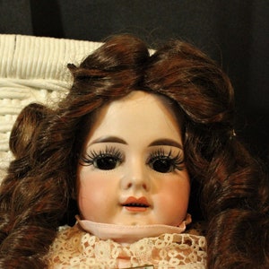 Antique, porcelain head doll, china head doll, bisque head doll, collectible doll, display doll, beautiful doll, decorative doll