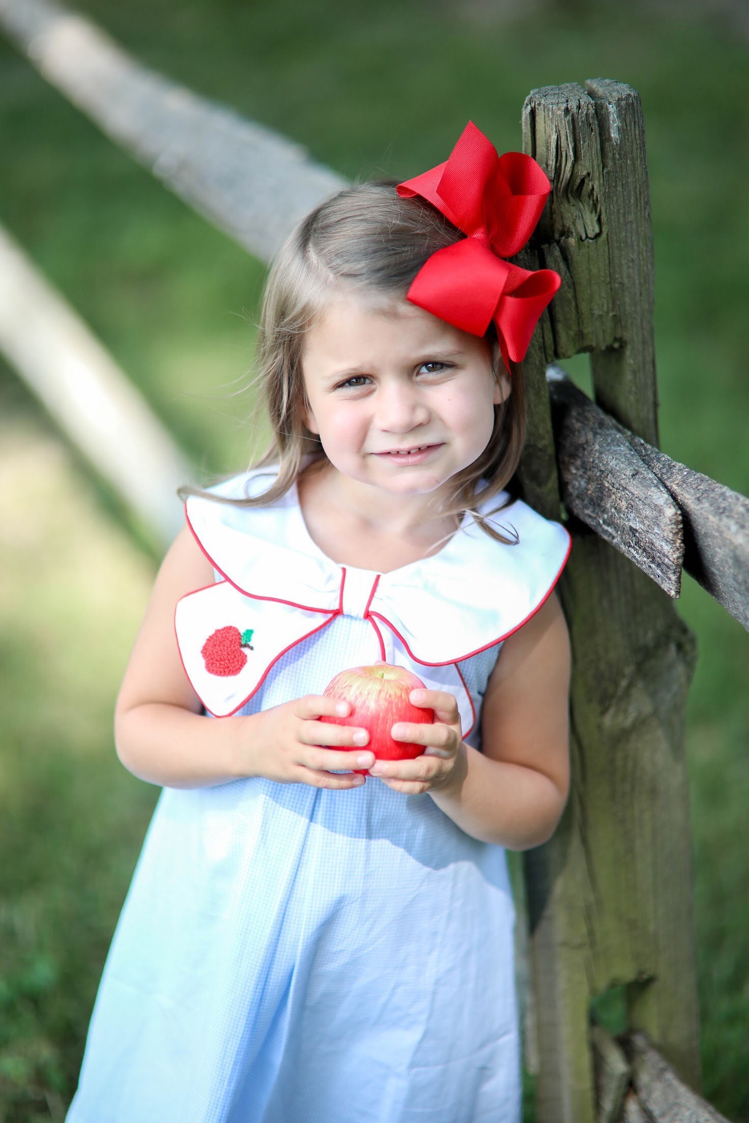 Girl Apple Dress, Blue Gingham Apple dress, gurl back to school outfi…