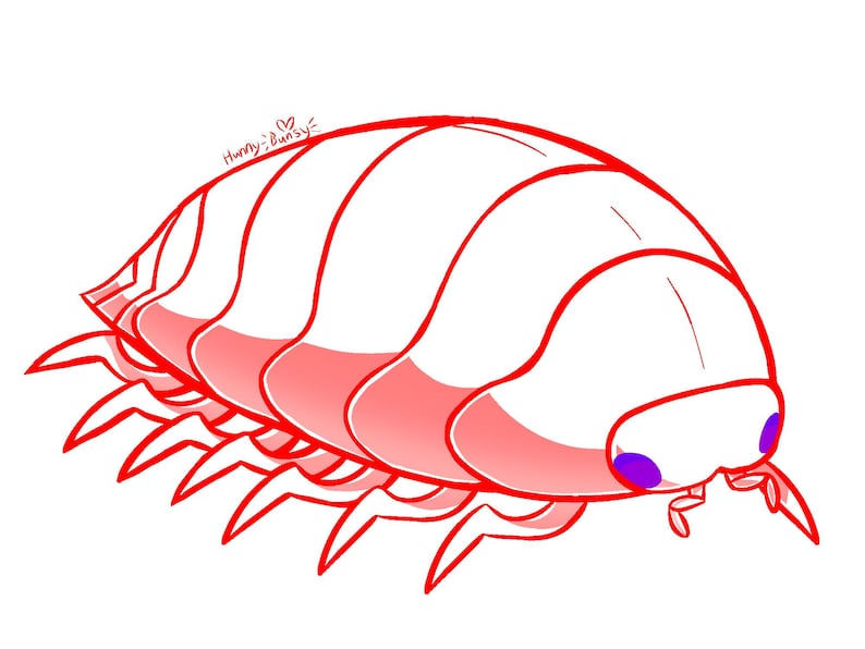 Bug Body Base Isopod Base for Furry Oc Designs Adopts Pill Bugs Roly Polies Three ...