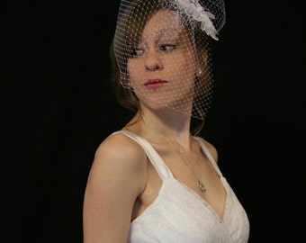 Birdcage veil